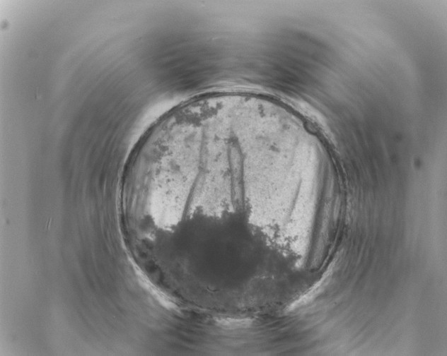 X0000088031231200706011341