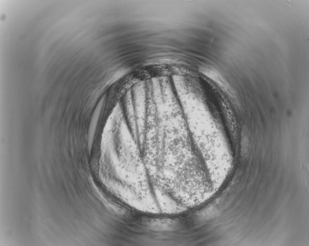 X0000088031233200706011341