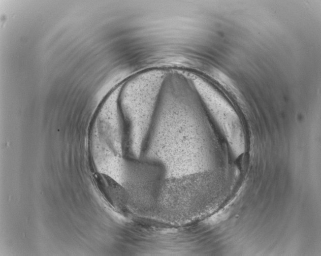 X0000088031234200706011341