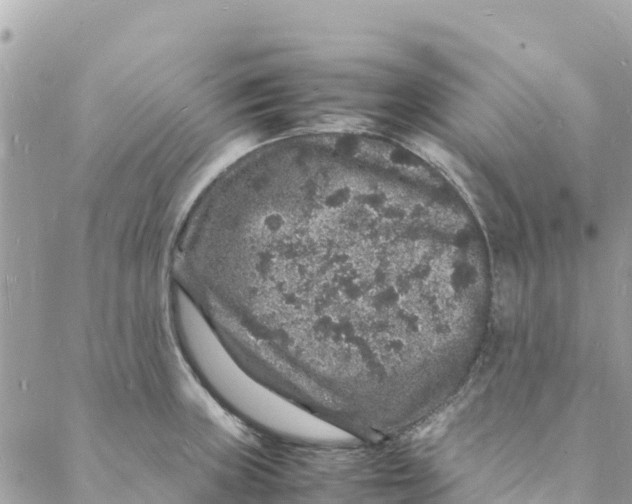 X0000088031235200706011341