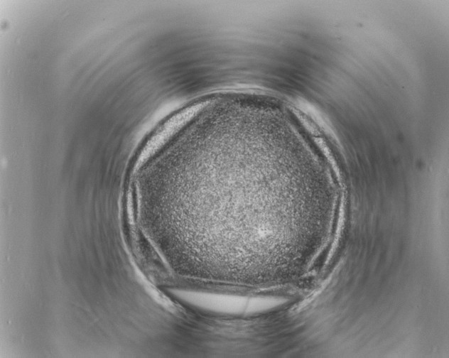 X0000088031237200706011341