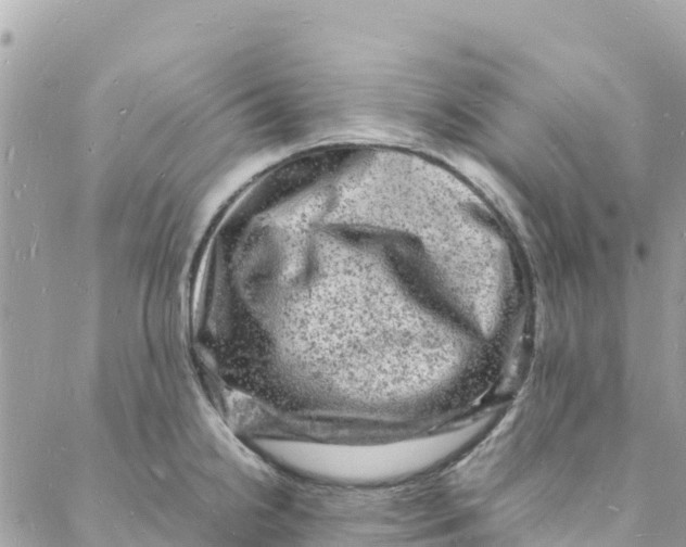 X0000088031238200706011341