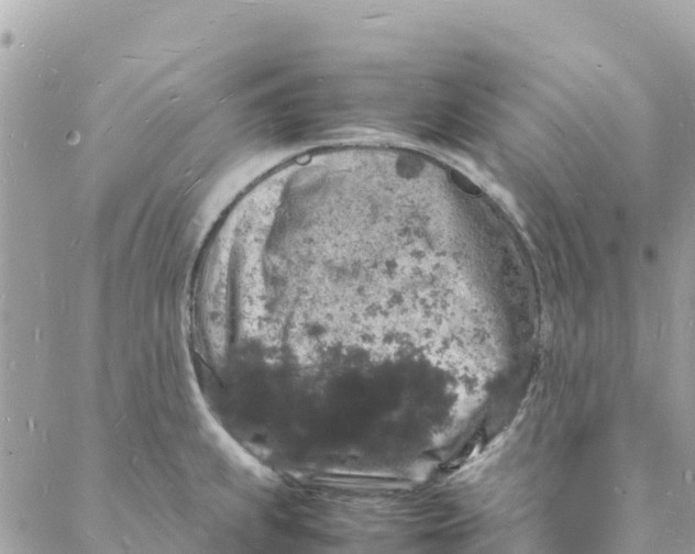 X0000088031239200706011341