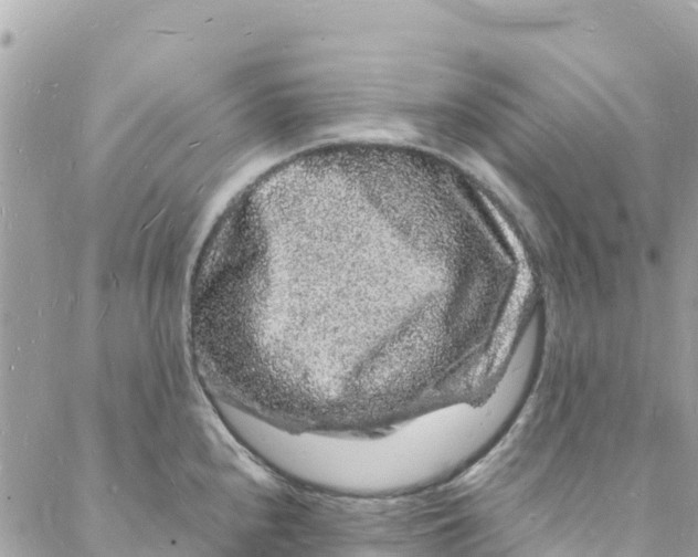 X0000088031240200706011341