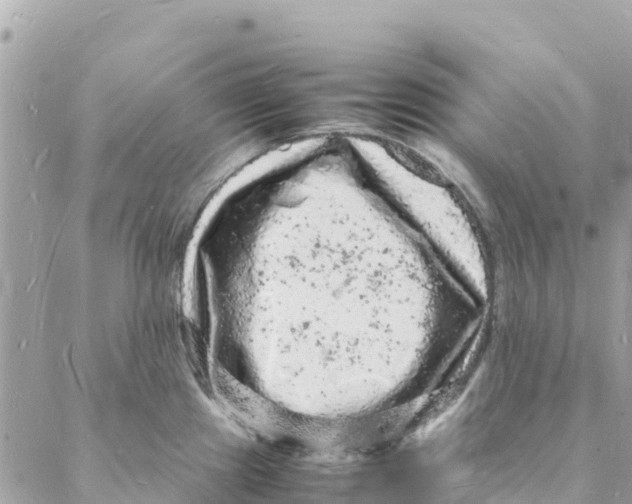 X0000088031241200706011341