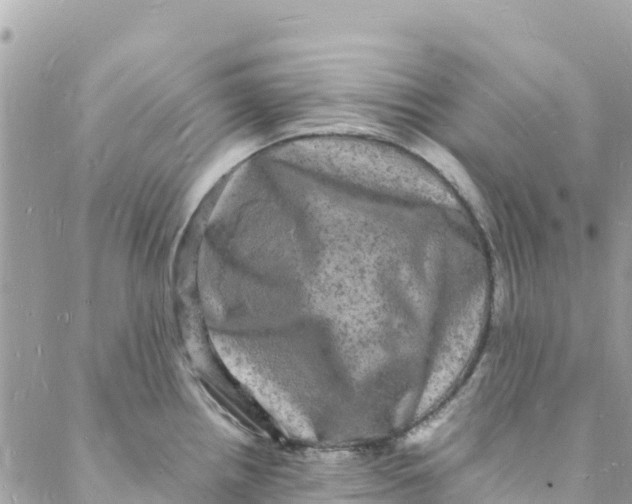 X0000088031242200706011341