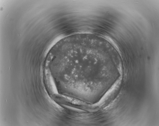 X0000088031243200706011341