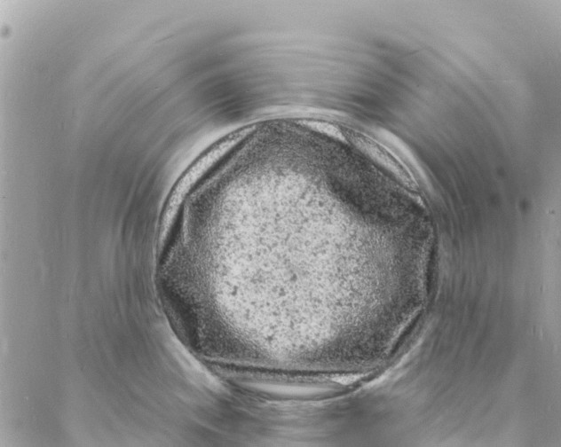 X0000088031244200706011341