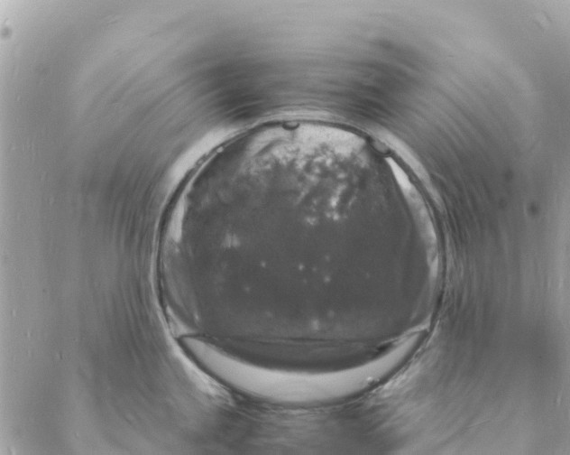 X0000088031245200706011341