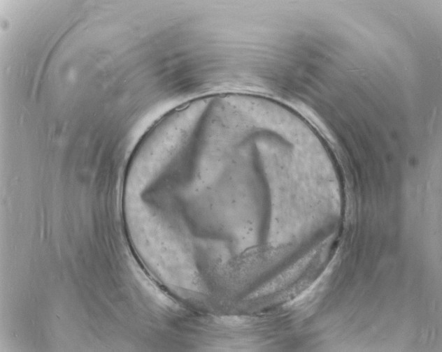 X0000088031246200706011341