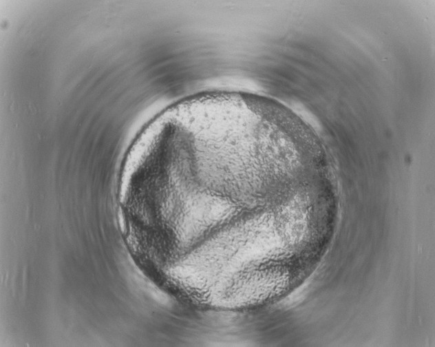 X0000088031248200706011342