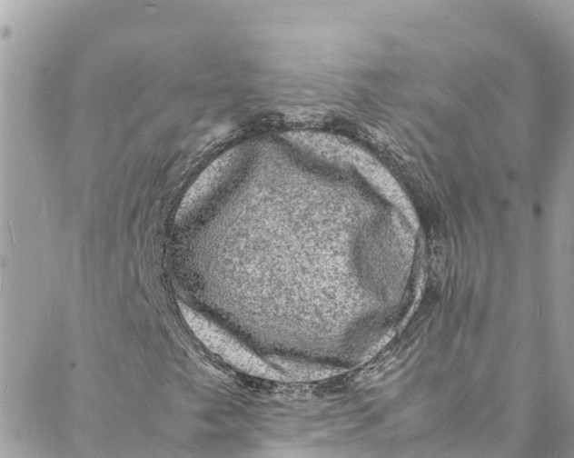 X0000088031249200706011341