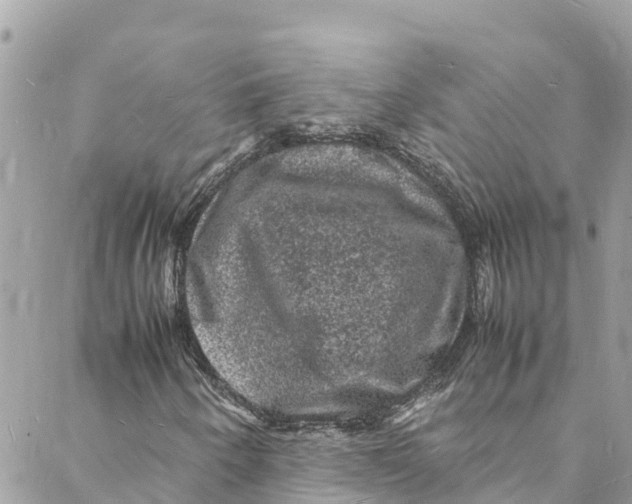 X0000088031250200706011341