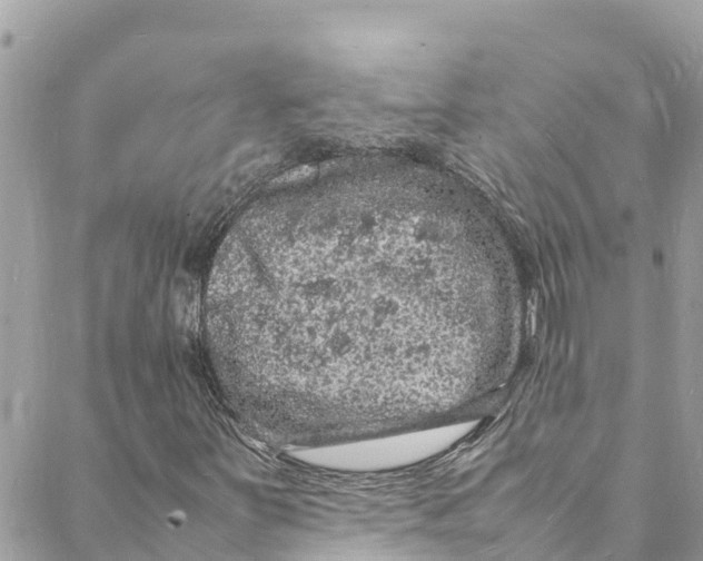 X0000088031251200706011341