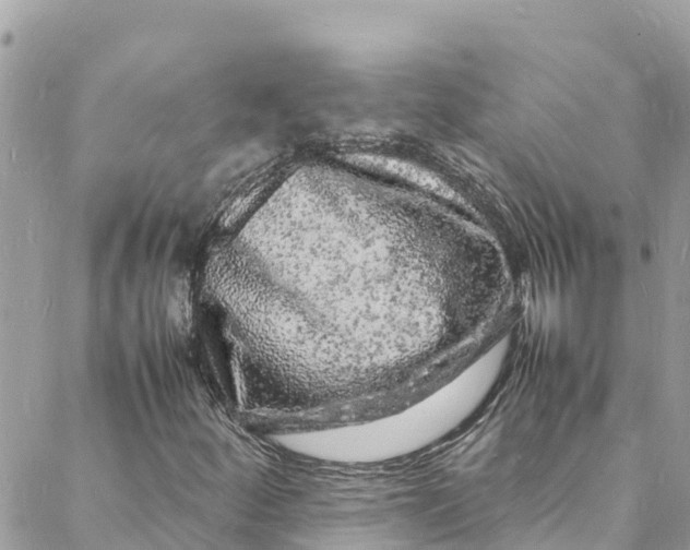 X0000088031252200706011341