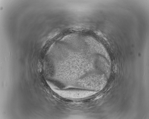 X0000088031253200706011341