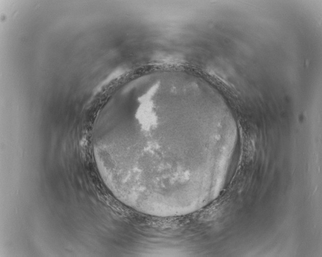 X0000088031254200706011341