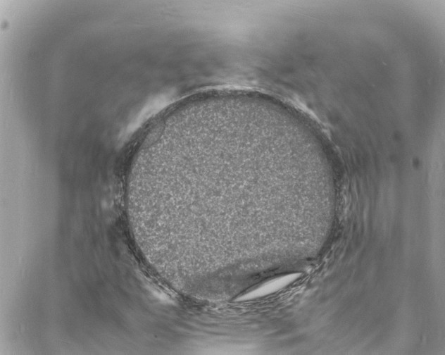 X0000088031255200706011341