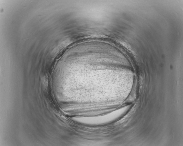 X0000088031257200706011341