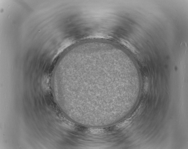 X0000088031258200706011341