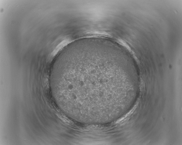 X0000088031259200706011341