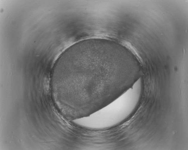 X0000088031260200706011341