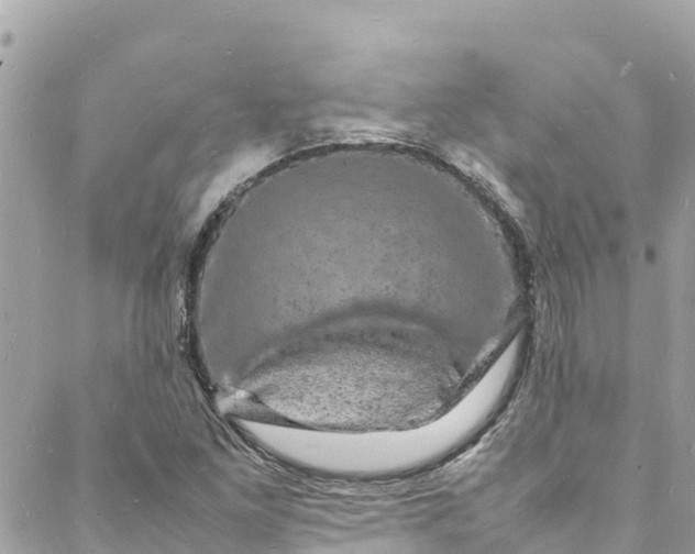 X0000088031261200706011341