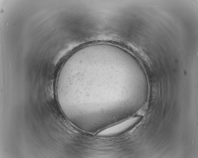 X0000088031262200706011341