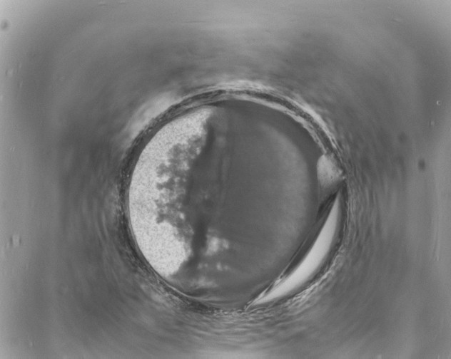 X0000088031263200706011341