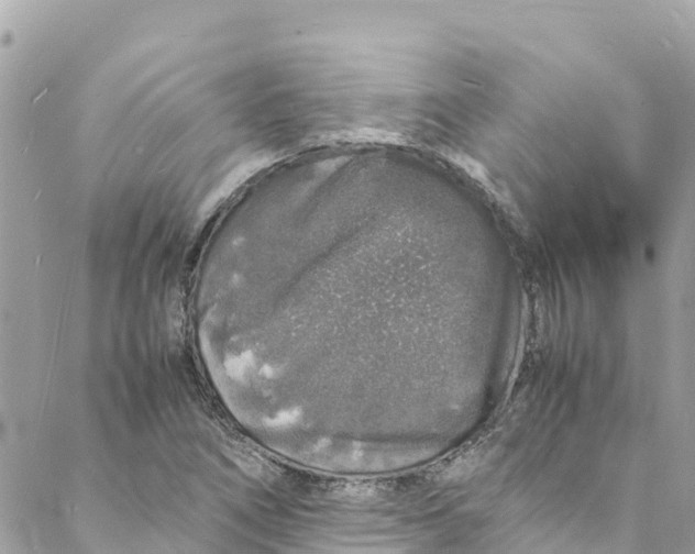 X0000088031266200706011340