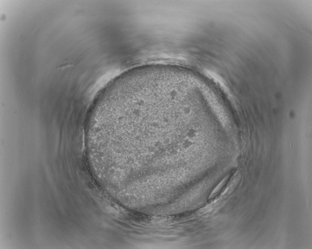 X0000088031267200706011340