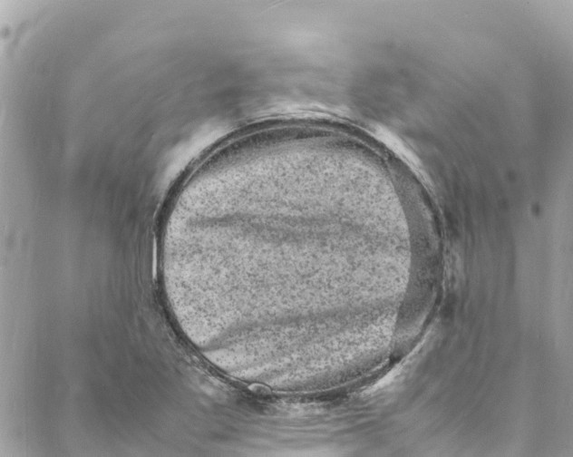 X0000088031269200706011340