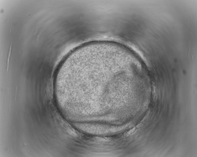 X0000088031270200706011340