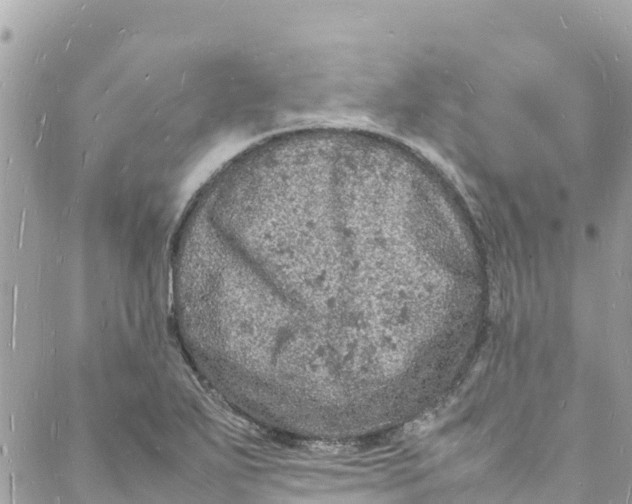 X0000088031271200706011340