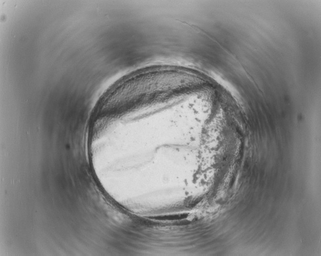 X0000088031272200706011340