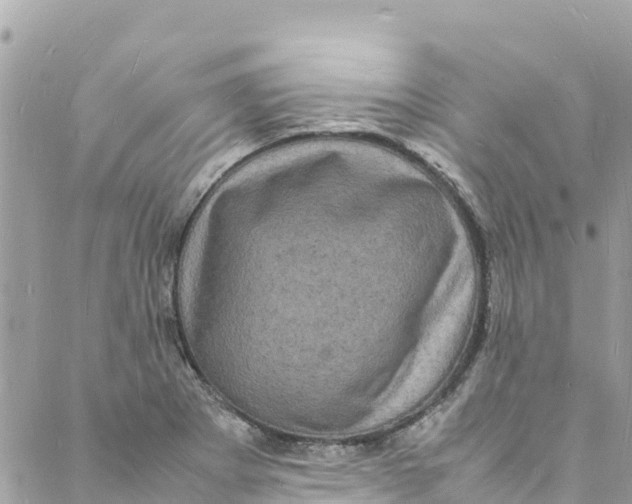 X0000088031273200706011340