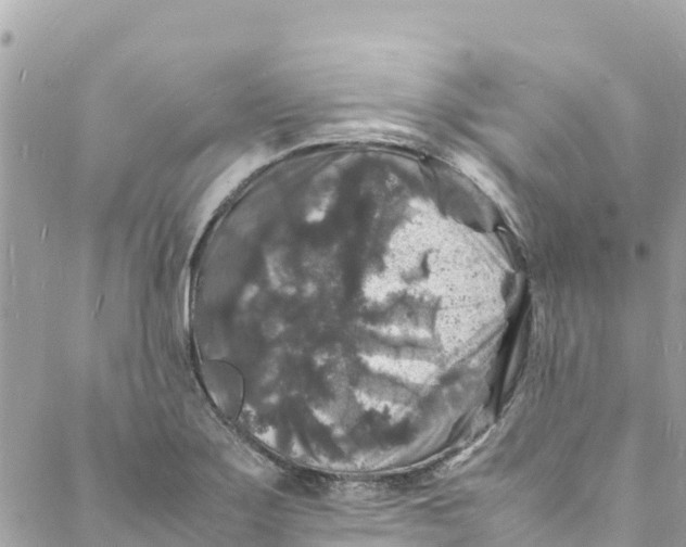 X0000088031275200706011340