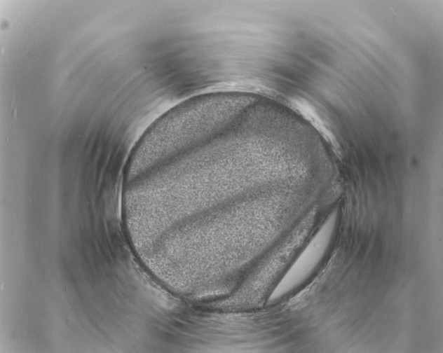 X0000088031276200706011340