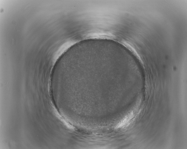 X0000088031277200706011340