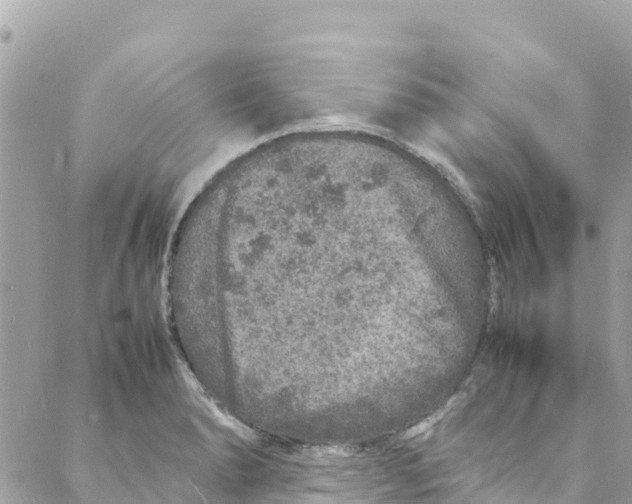 X0000088031278200706011340