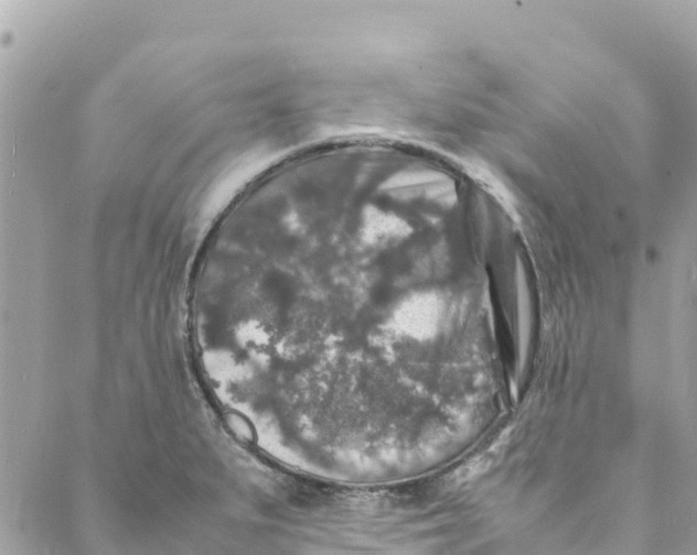 X0000088031279200706011340