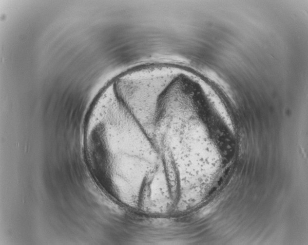 X0000088031280200706011340