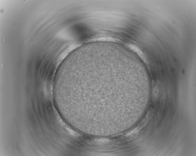 X0000088031282200706011340