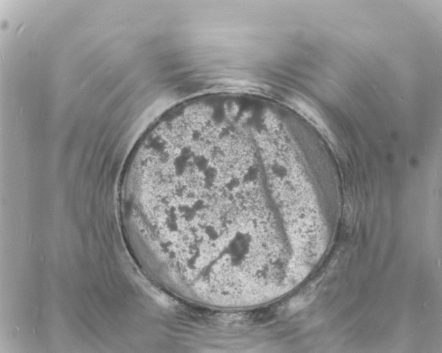 X0000088031283200706011340