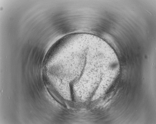 X0000088031284200706011340