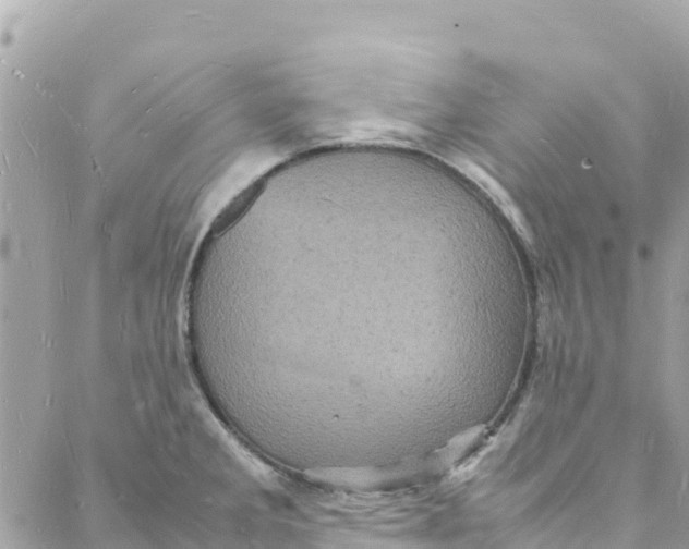 X0000088031285200706011340