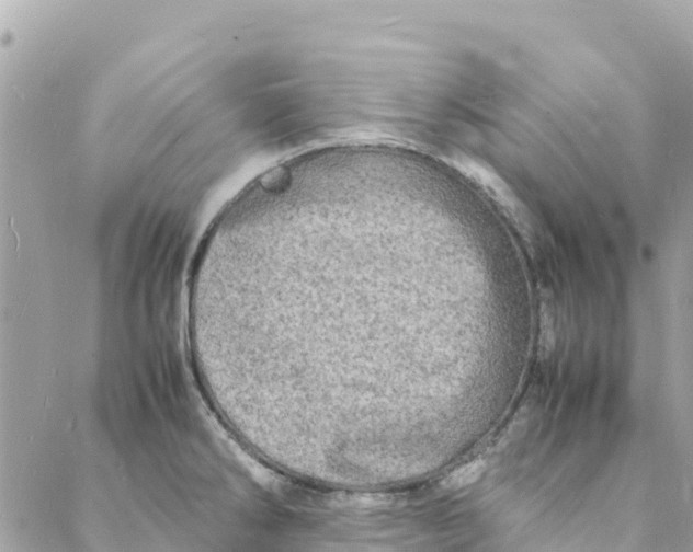 X0000088031286200706011340