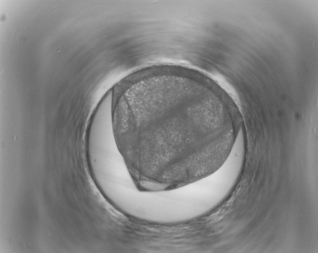 X0000088031287200706011340