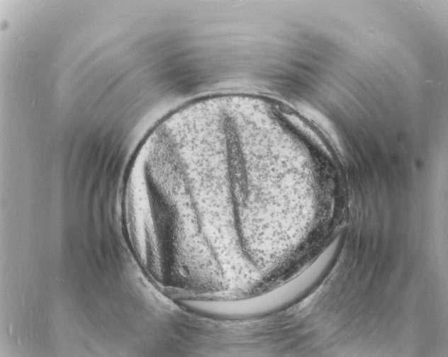 X0000088031288200706011340