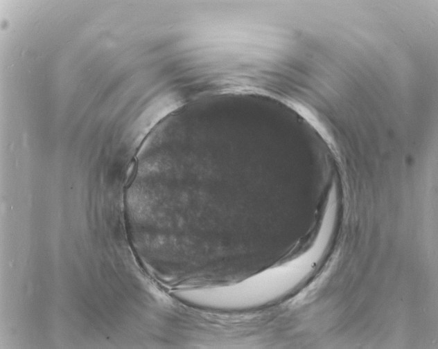 X0000088031289200706011340